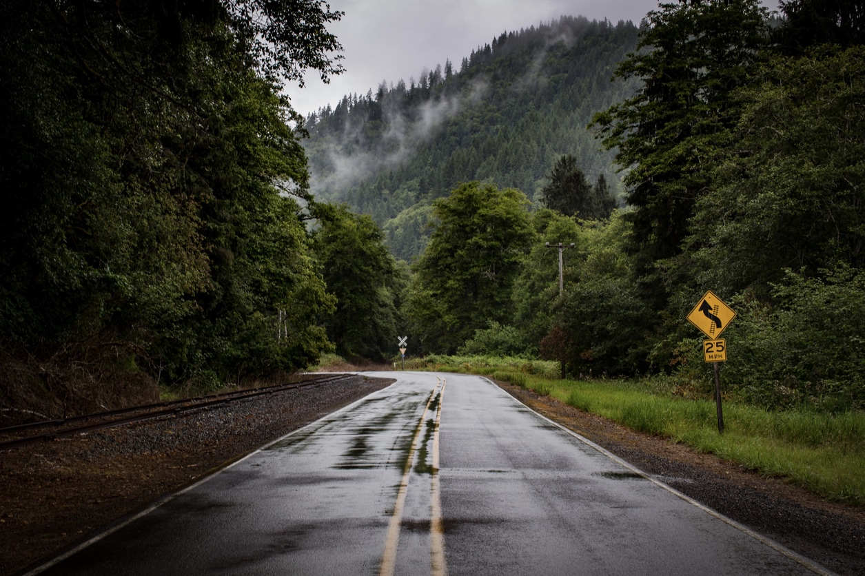 Wet, winding road through a dense forest of tall evergreen trees in a mountainous area of Oregon