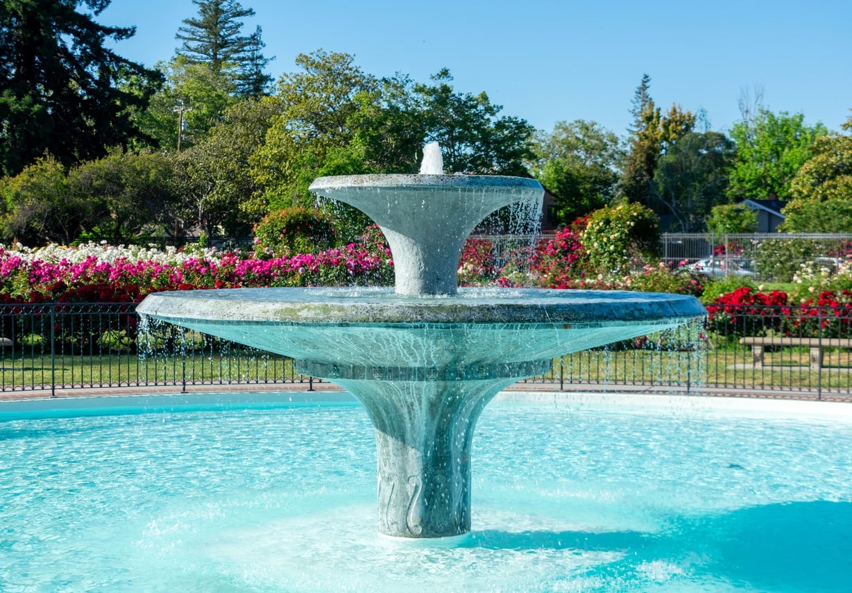 Sparkling water fountain, colorful rose bushes under a clear blue sky in San Jose Municipal Rose Garden An outdoor public fountain sprays water in a San Jose city plaza, a popular attraction for those living in San Jose