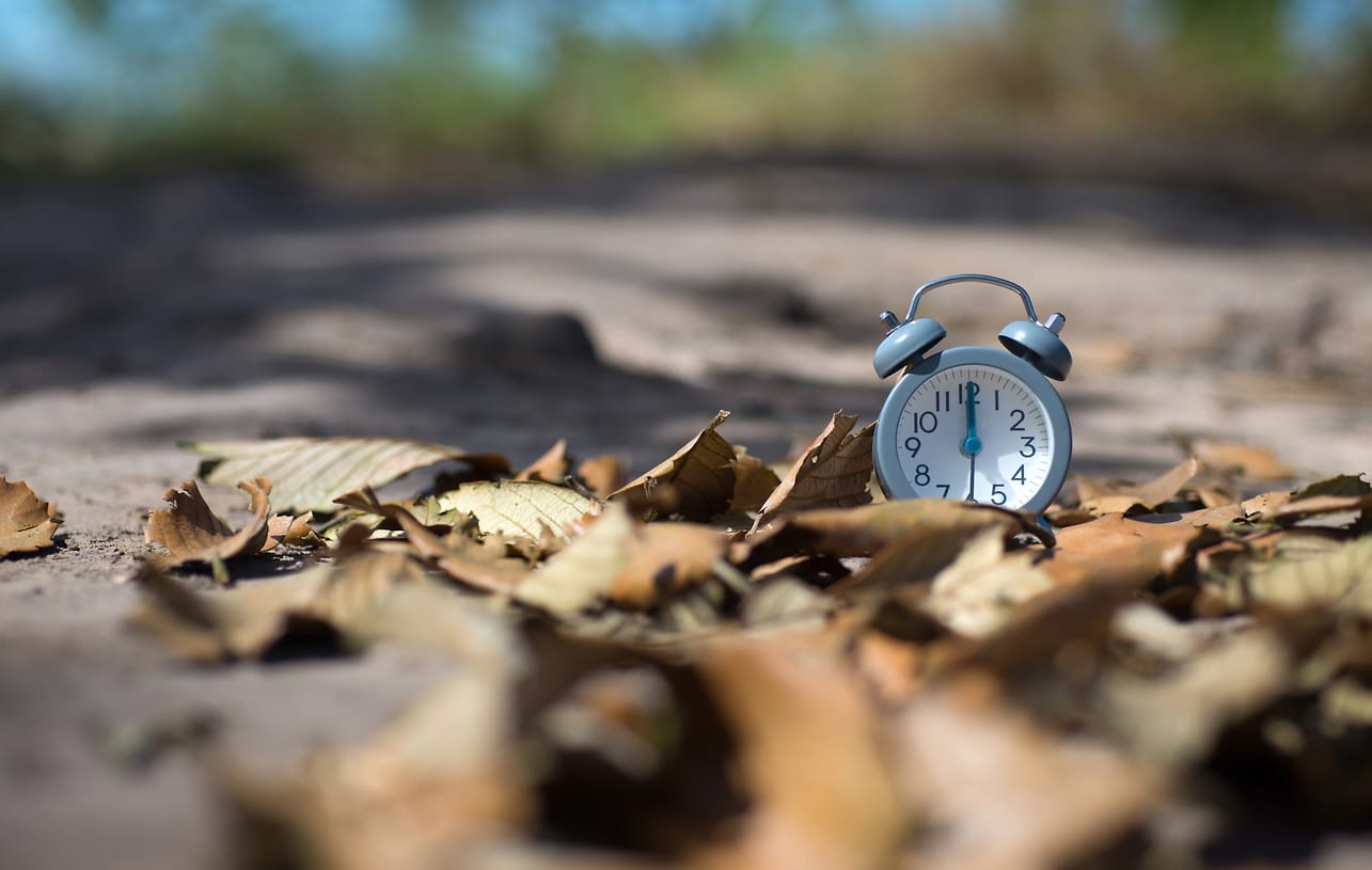 Vintage blue alarm clock on the ground among dry autumn leaves with soft sunlight and blurred natural background