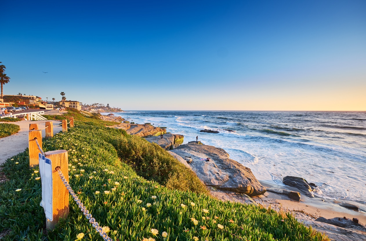 Path along the cliffs Sunset at Windansea Beach in San Diego with cliffs, ocean waves, and a lush green coastal pathway