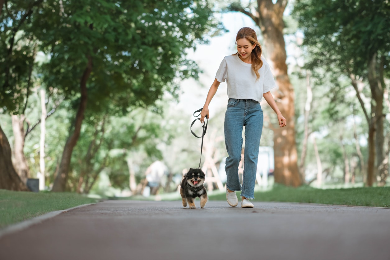 A woman smiles while walking her dog after moving to a new city