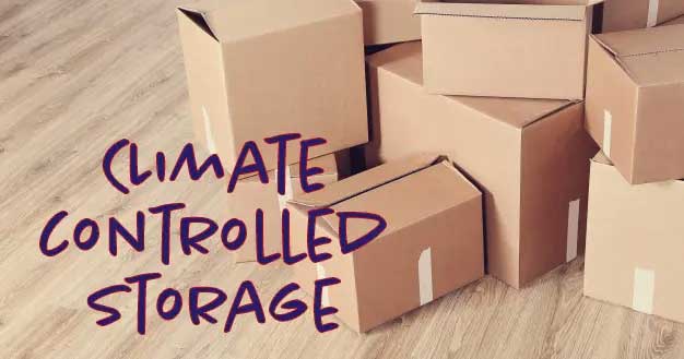 Do You Really Need a Climate-Controlled Storage Unit?
