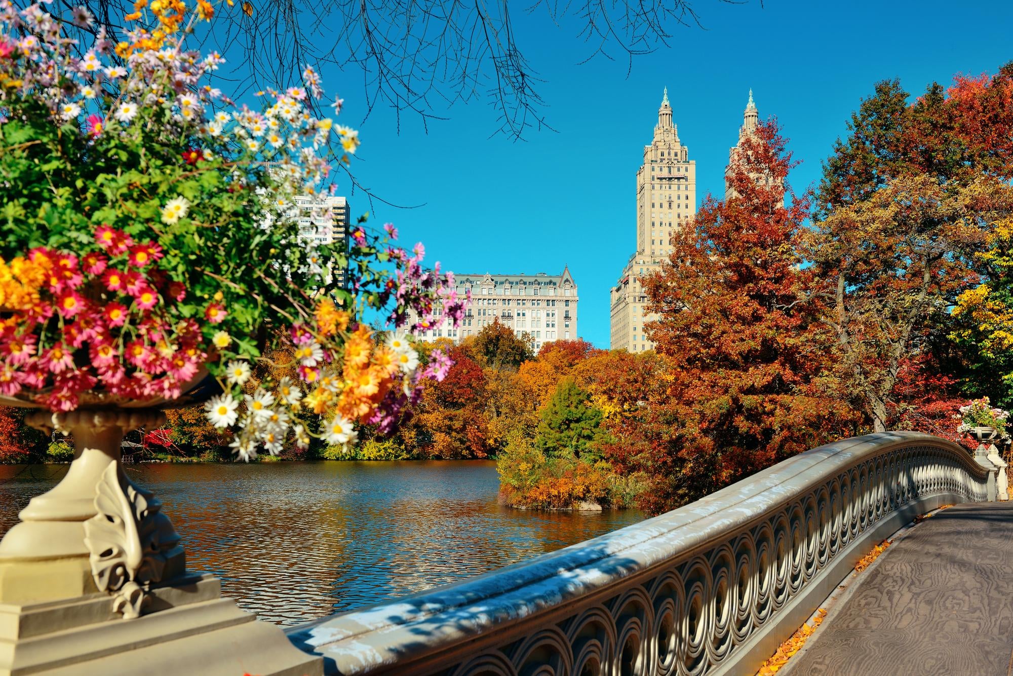 People moving to Boston have gorgeous fall foliage to look forward to