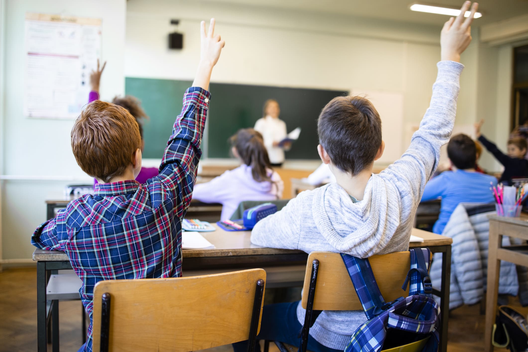 Students raising their hands in class at one of Raleigh's top-notch schools for K-12 and college students