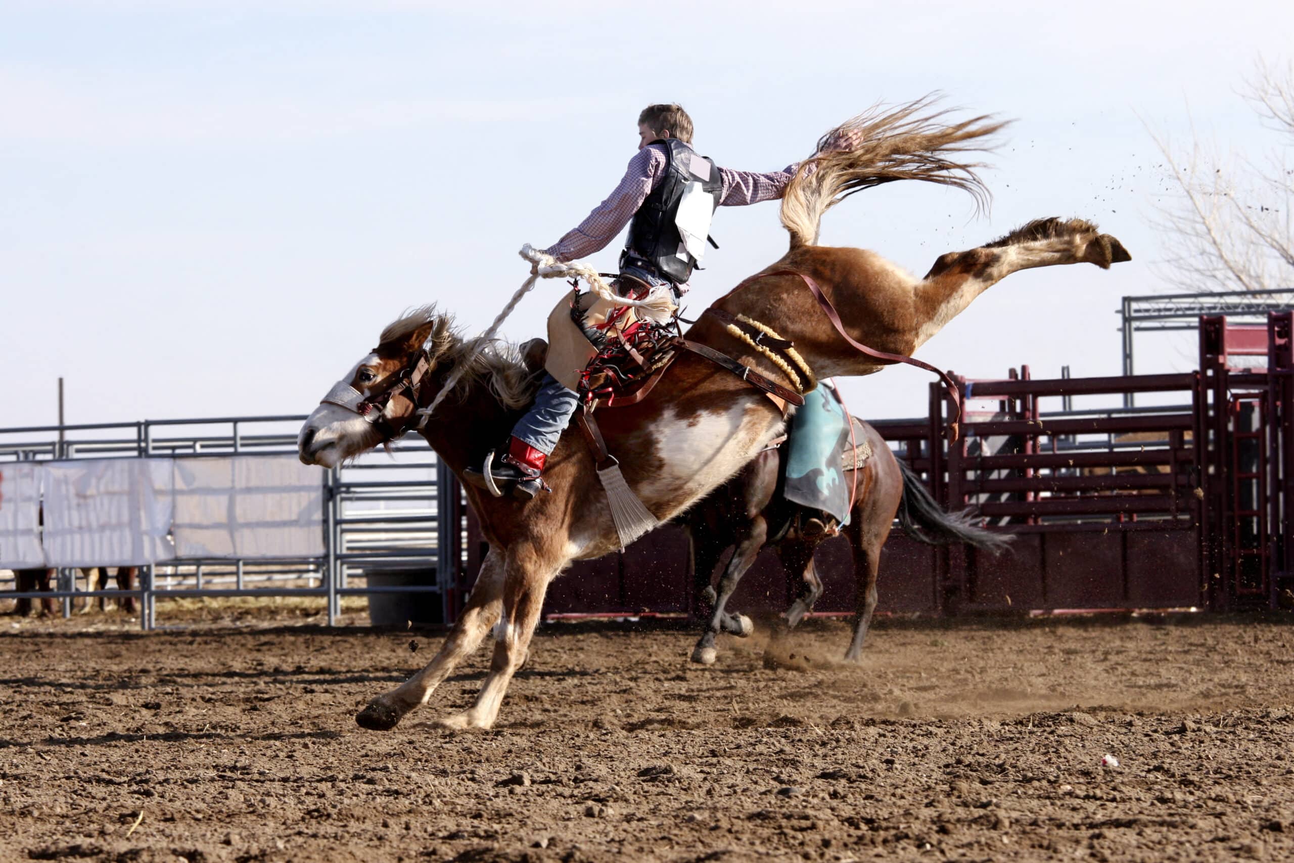 A cowboy riding in a rodeo, highlighting the vibrant entertainment scene for those living in Houston, TX