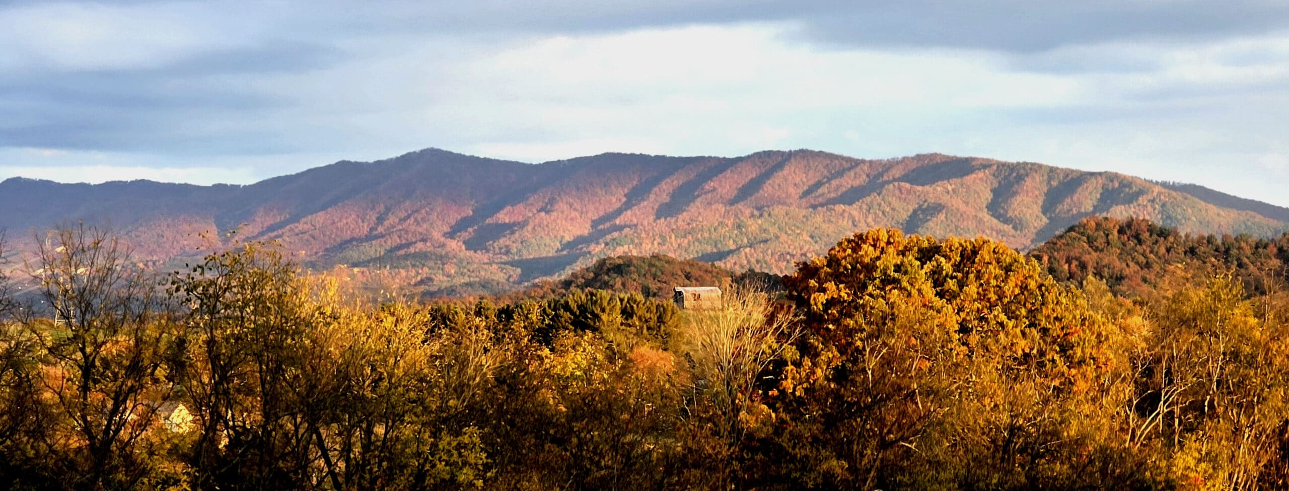 The scenic Appalachian Mountains in Tennessee with vibrant fall colors, highlighting its great climate despite being in the South