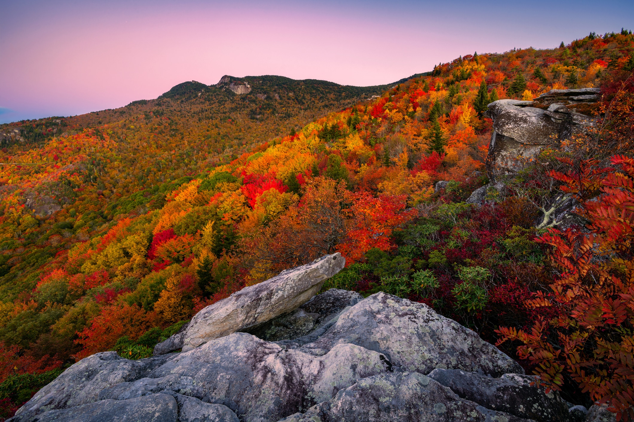 Vibrant autumn colors along the Blue Ridge Parkway in Haw Creek, one of the best Asheville neighborhoods for nature lovers