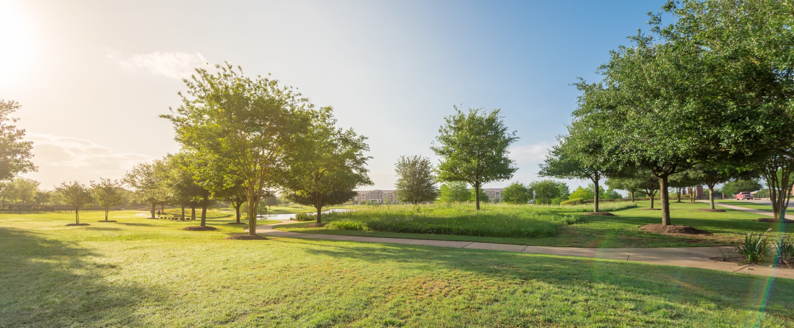 Sugar Land Memorial Tree and Bench Program, showcasing Sugar Land as one of the best places to live in Houston