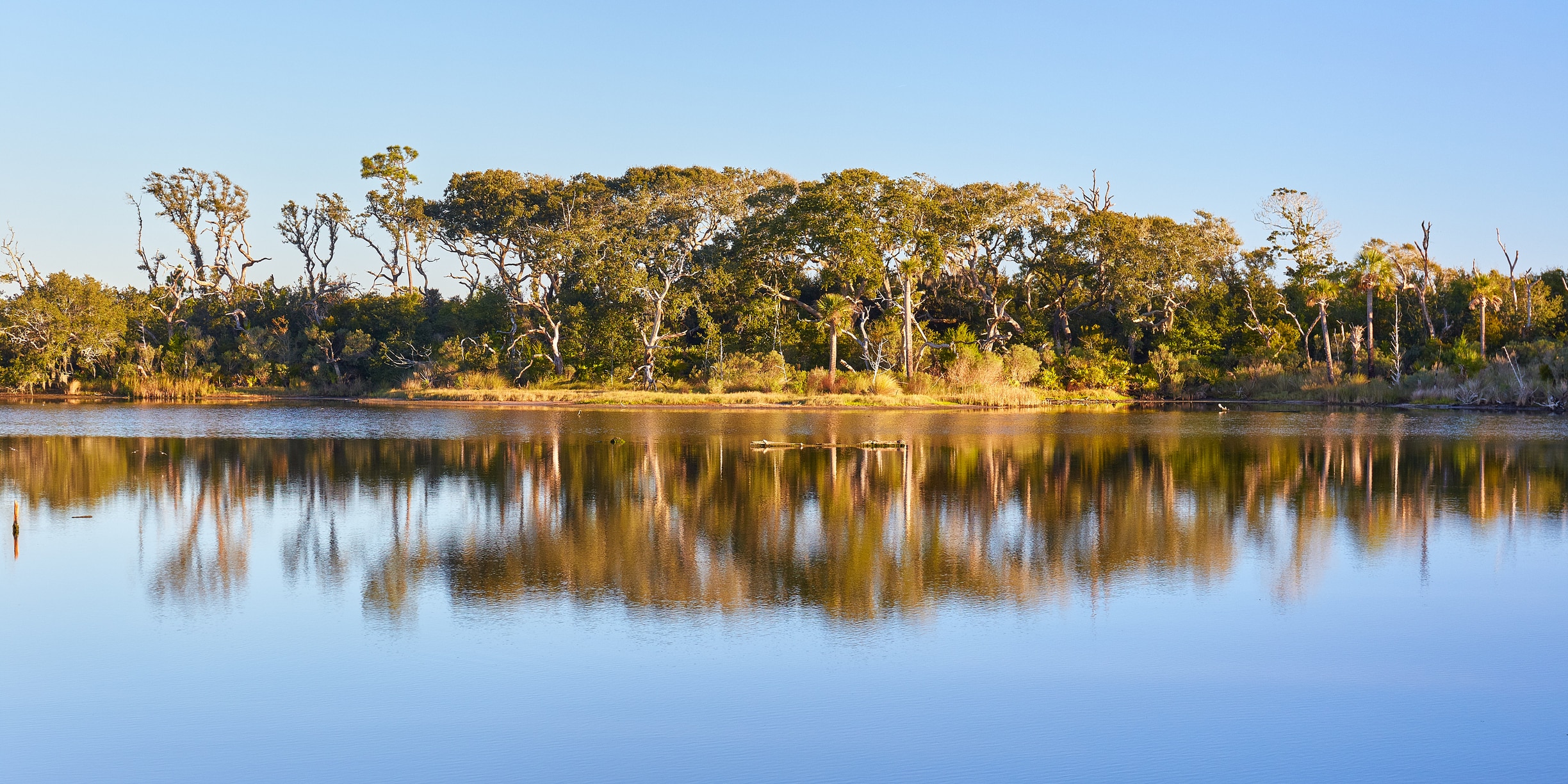 Big Talbot Island State Park in Arlington, a peaceful spot for those living in Jacksonville to explore the outdoors