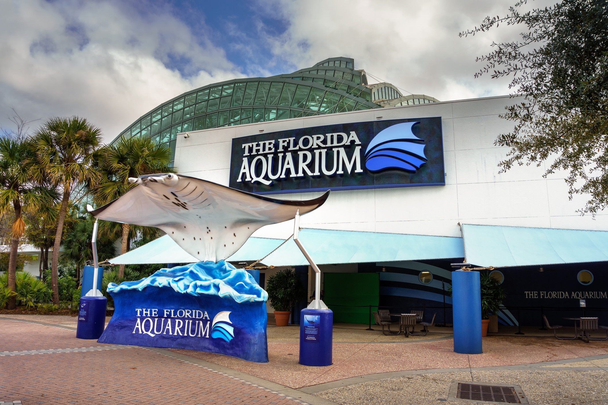 The Florida Aquarium, with interactive exhibits showcasing Florida’s marine life, is a perk of living in Tampa