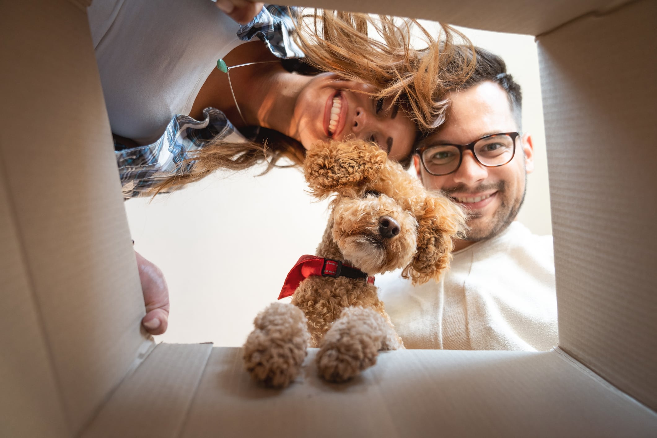 A couple and their pet dog joyfully peeking into a moving box