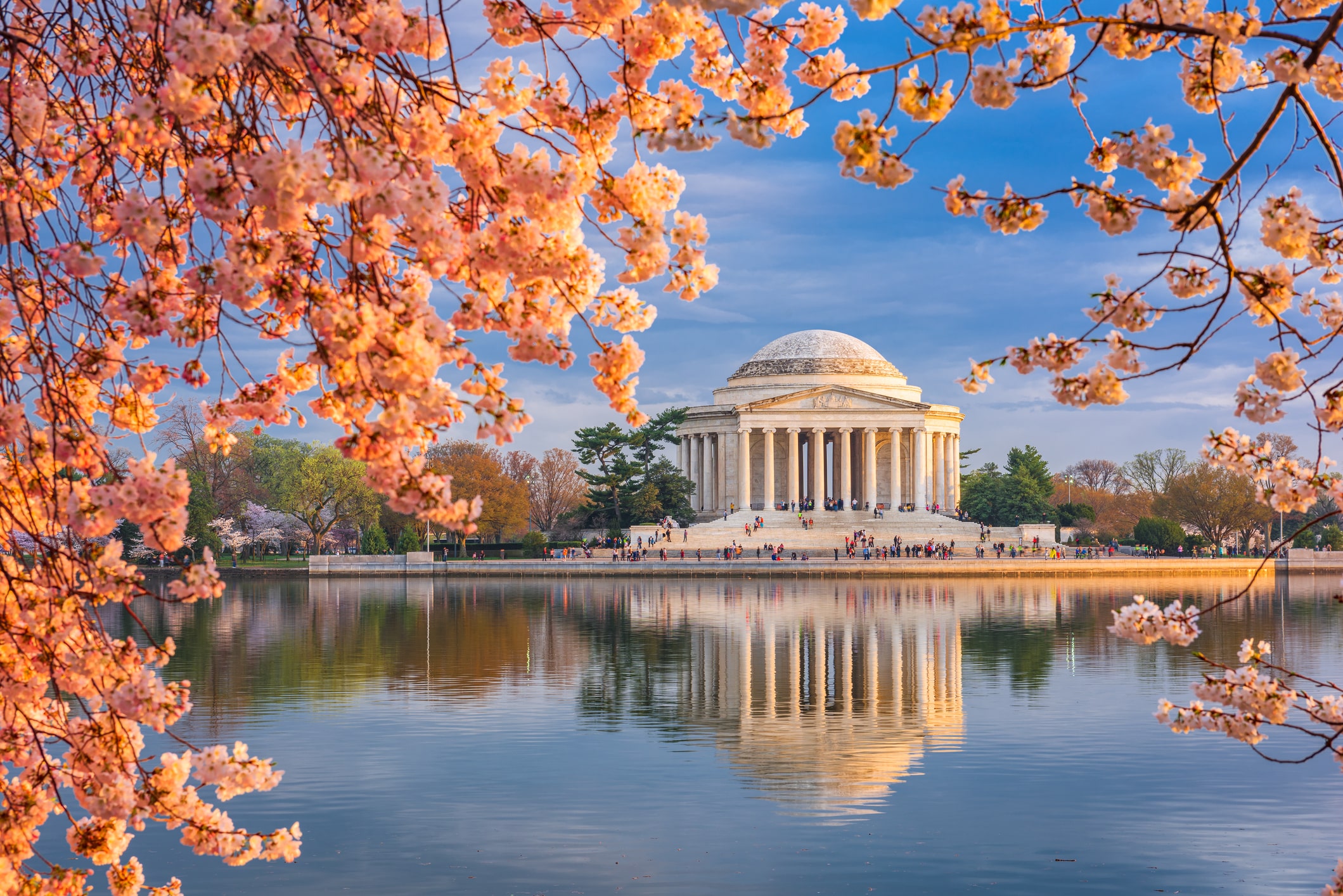 The Jefferson Memorial in Washington, DC, framed in beautiful cherry blossoms, one of the best places to move for love