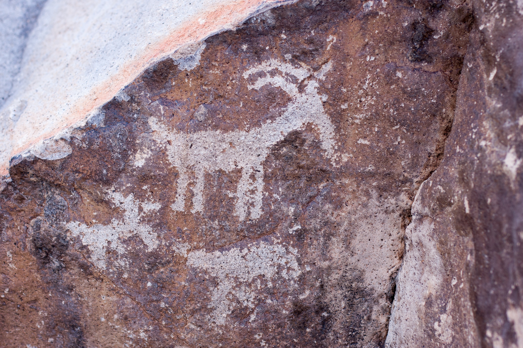 Sloan Canyon Petroglyphs Ancient bighorn petroglyph in Sloan Canyon in Anthem, one of the best neighborhoods in Las Vegas