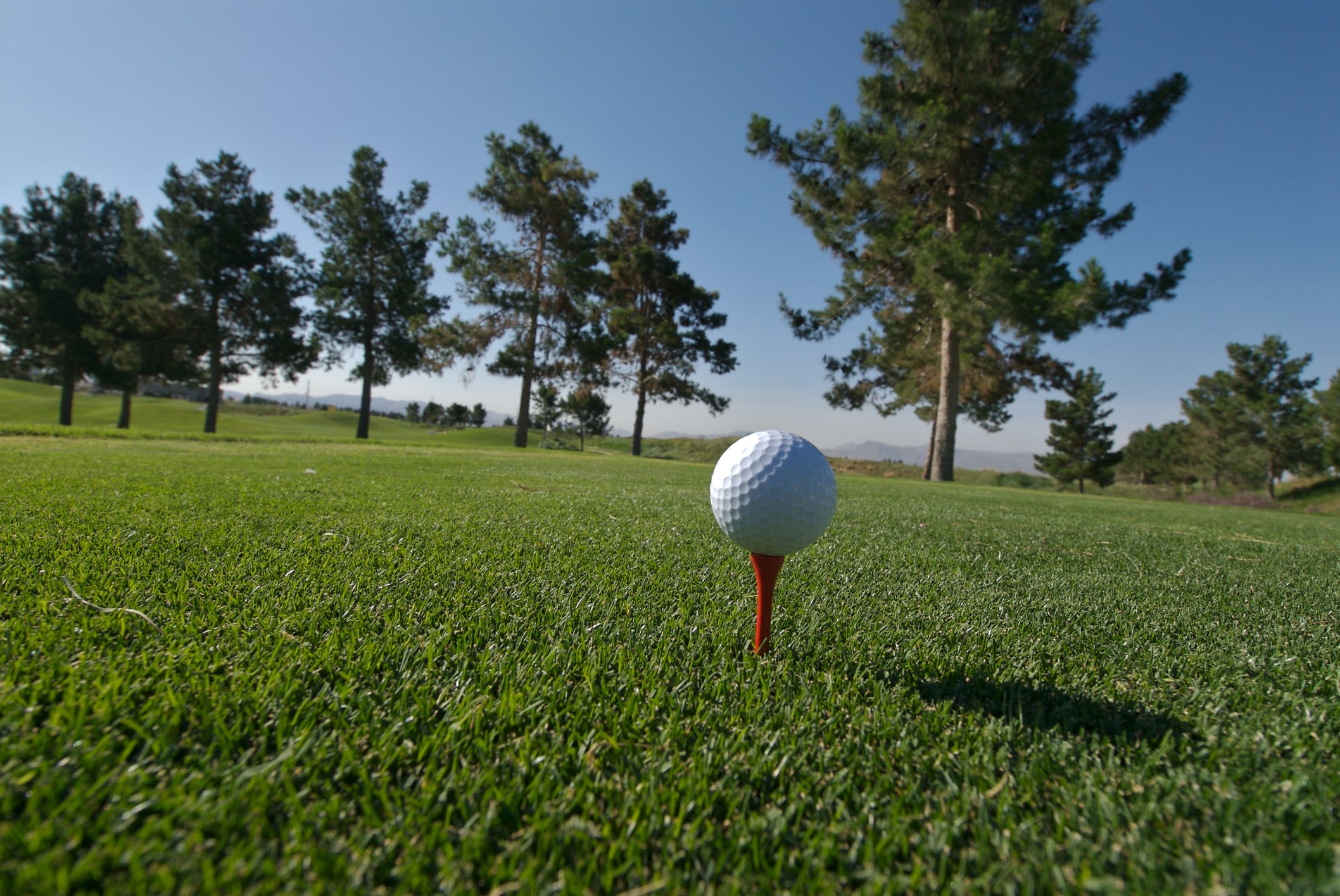 Golf Ball On Field Against Trees A golf ball on a tee in the middle of a golf course in one of the best Las Vegas neighborhoods