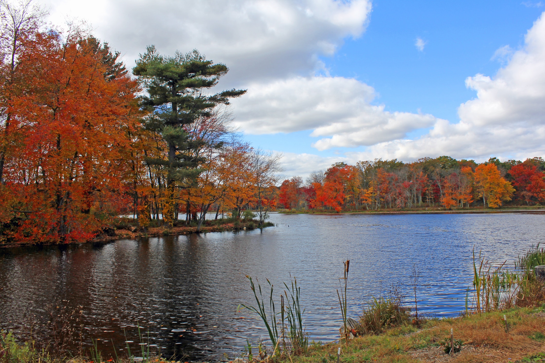 Autumnal Pond 4 Beautiful lake with autumn leaves in Brooklyn Connecticut