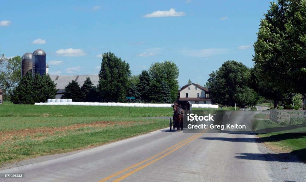 View of an Amish Horse and Buggy Going down the Road on a Sunny Day View of an Amish Horse and Buggy Going down the Road on a Sunny Day