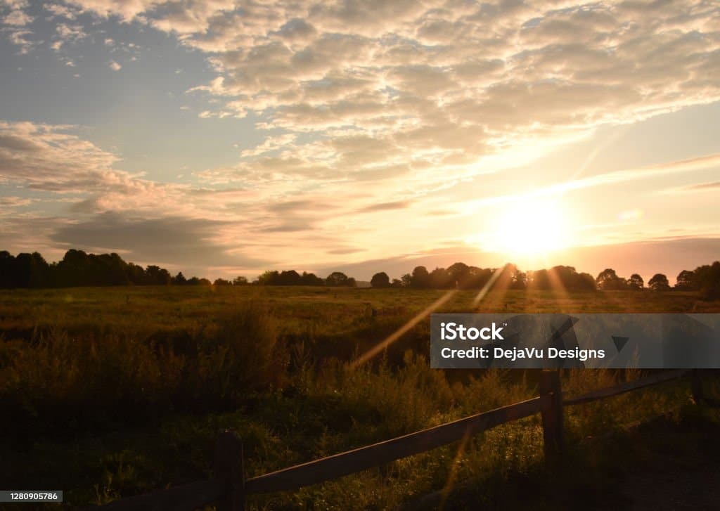 Gorgeous rays of sunshine on a meadow in the early morning hours. Gorgeous rays of sunshine on a meadow in the early morning hours.