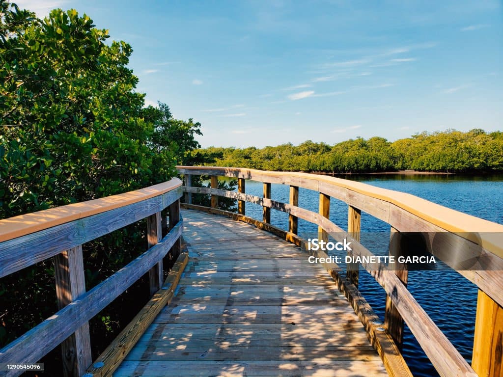 istockphoto-1290545096-1024x1024 Amazing view of nature and walking Trails at the Riverwalk in Bradenton city, Florida