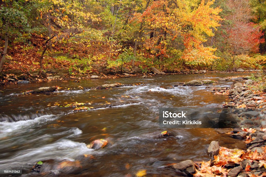 istockphoto-1551431362-1024x1024 Trees with fall leaves burst in color along the brook of a botanical garden highlighting the natural side of the Bronx