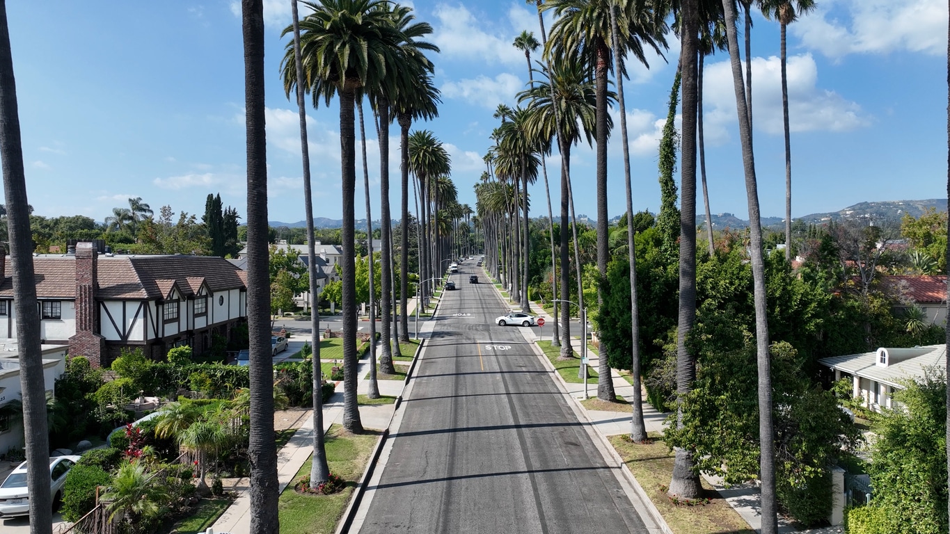 Beverly Hills at Los Angeles in California United States. A residential street in Beverly Hills, California, characterized by tall palm trees lining both sides of the road