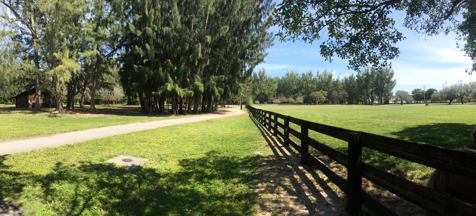 Horse farm park A paved pathway winding through a grassy area in Amelia Earhart Park, located in the Miami neighborhood of Hialeah