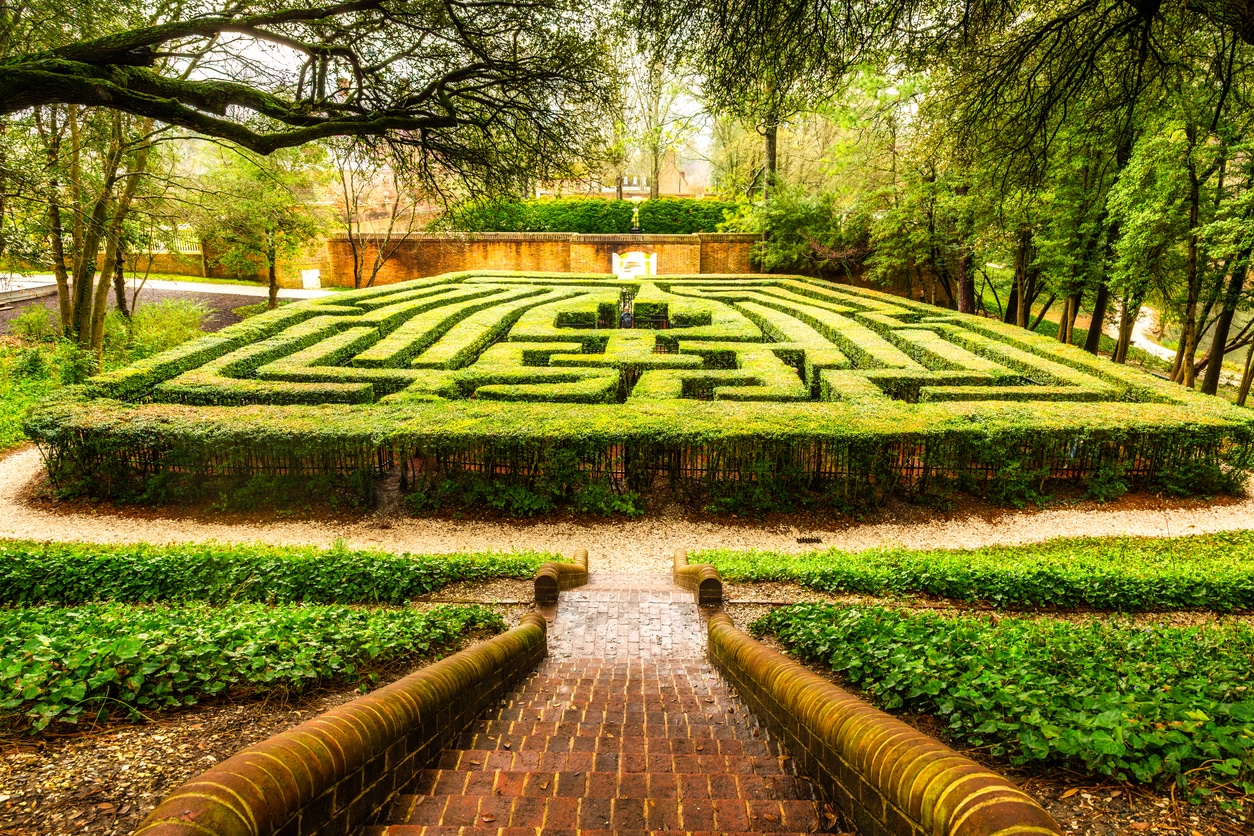 Hedge maze in Colonial Williamsburg, Virginia Colonial-style brick path leading to a trimmed boxwood hedge maze at the Governor's Palace in Colonial Williamsburg