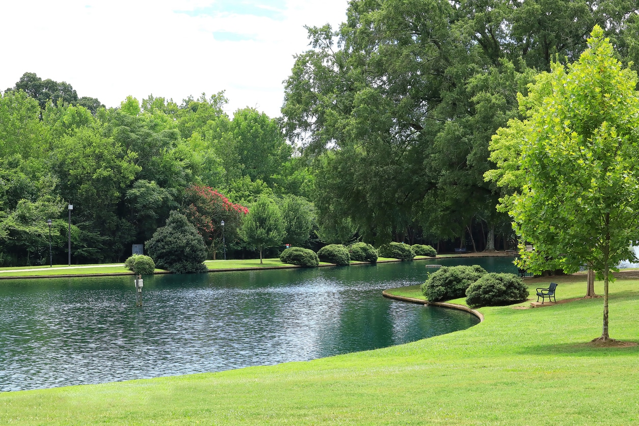 Serene and peaceful Freedom Park in Charlotte, NC, featuring a calm lake surrounded by lush greenery