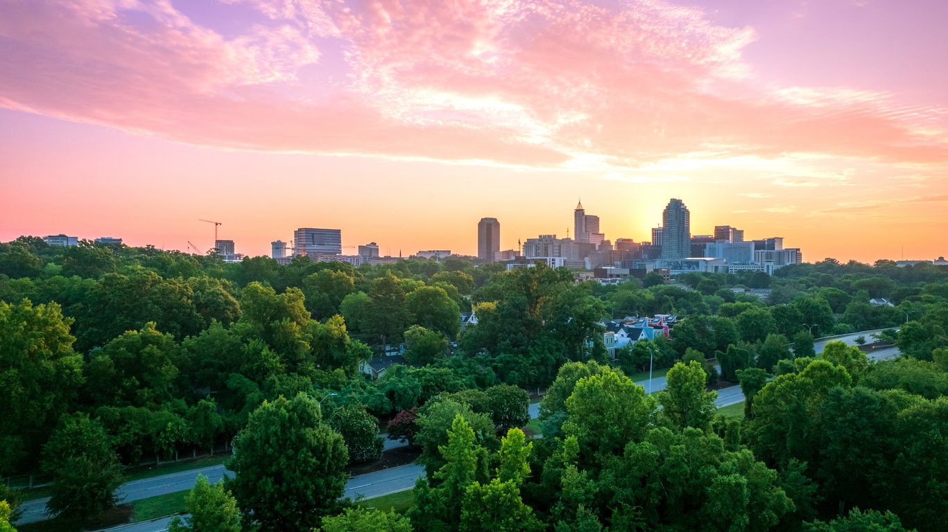 Downtown Raleigh, one of the best neighborhoods in Raleigh, NC, behind lush greenery set against a pink sunset