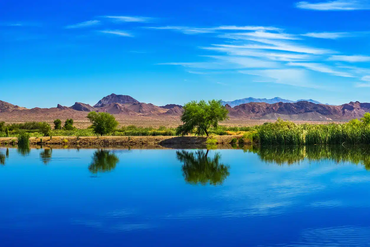 Serene view of Henderson Bird Viewing Preserve with calm water, green reeds, and distant mountains under a bright blue sky