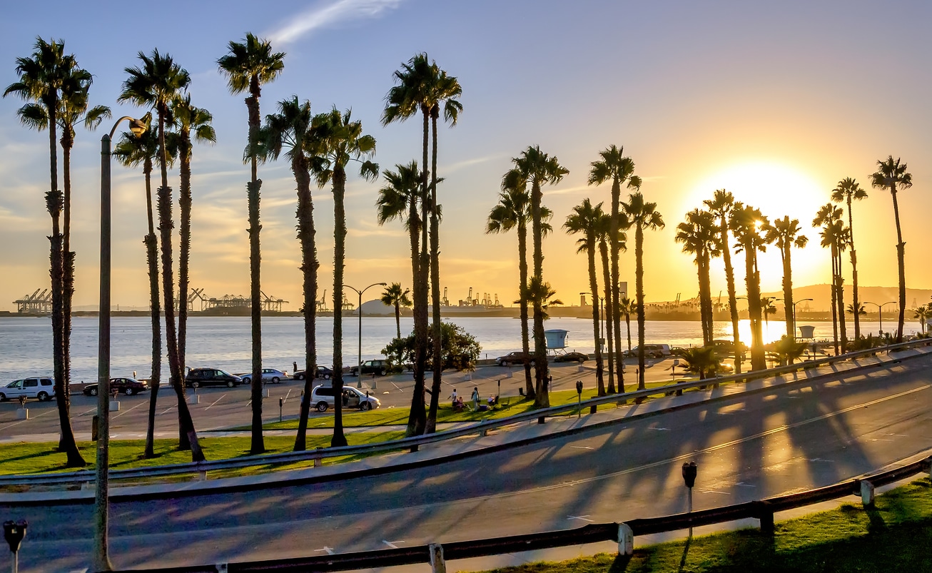 A scenic sunset over Long Beach, California, with palm trees lining a waterfront road and distant port cranes