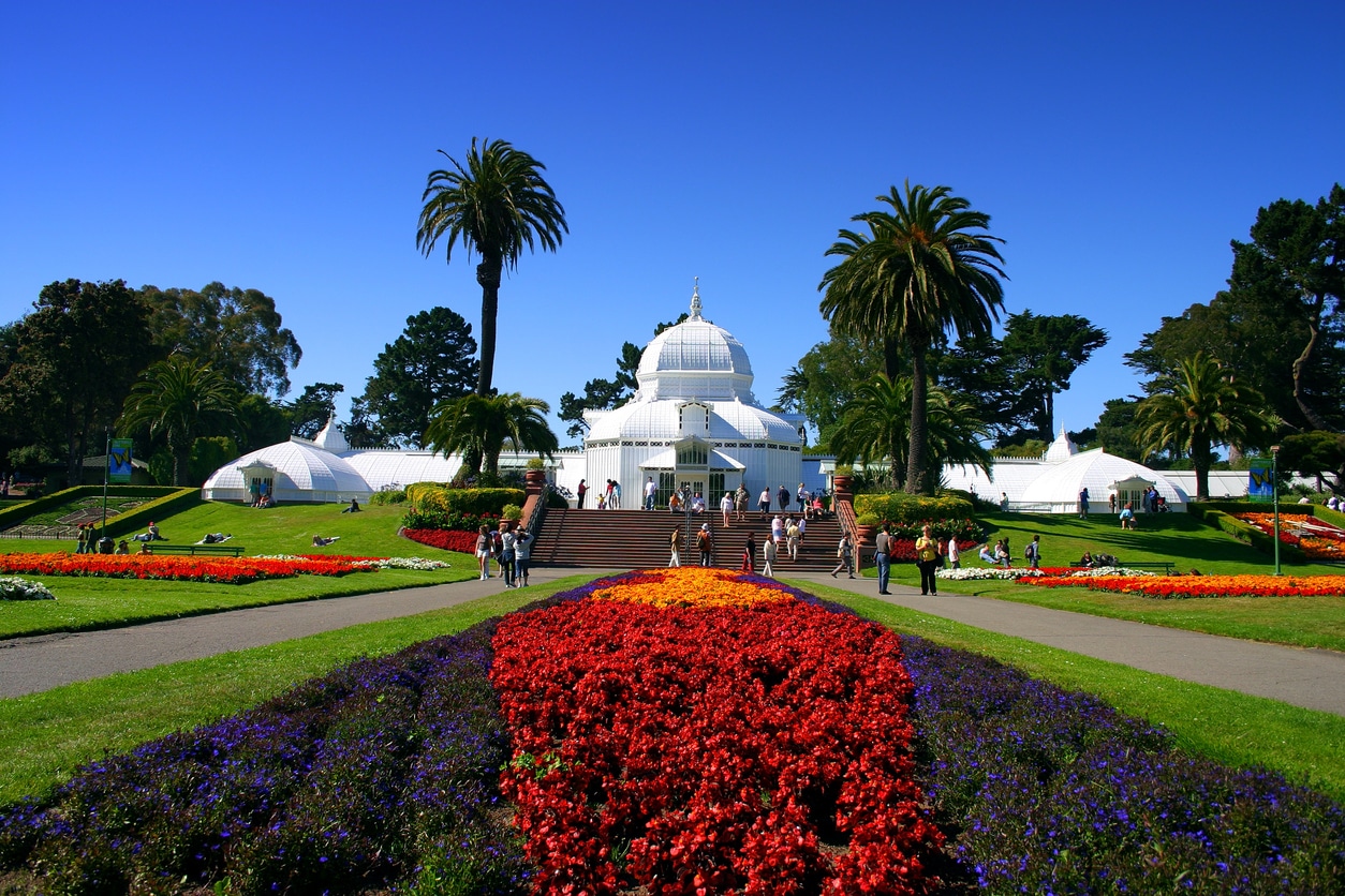A park in the San Francisco neighborhood of Inner Sanctum with vibrant flowers in the foreground on a clear, blue day