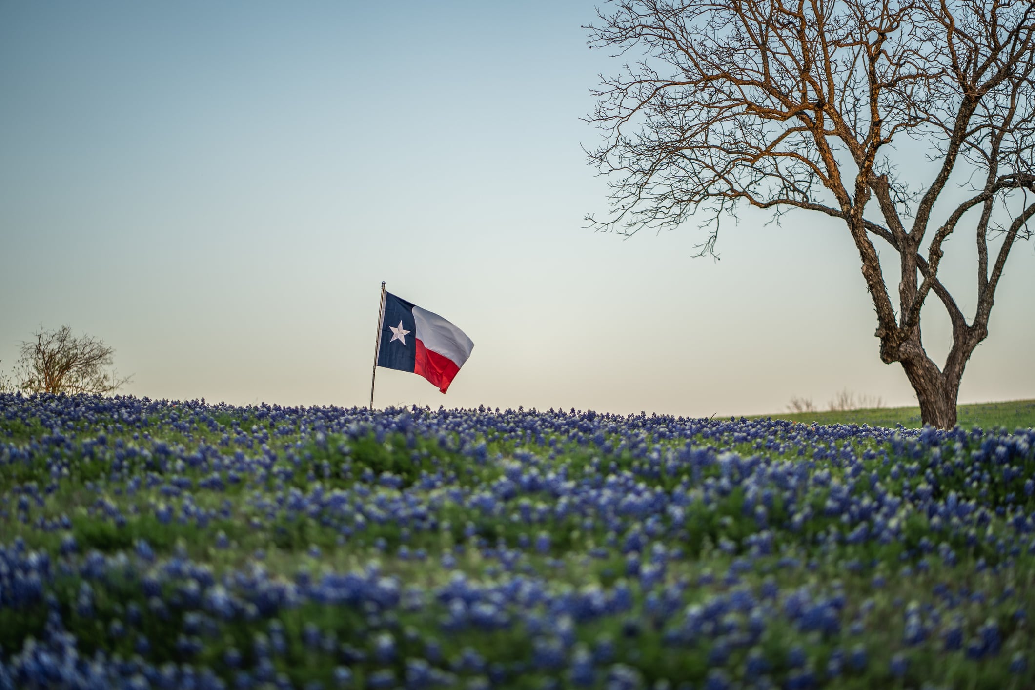 texas