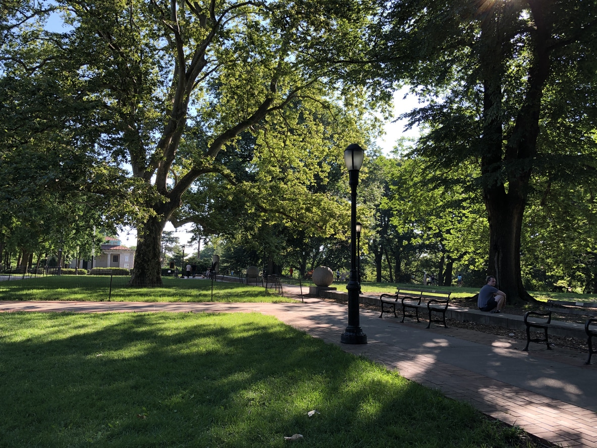 Park path in Brooklyn with lampposts and autumn trees at sunset under a colorful sky