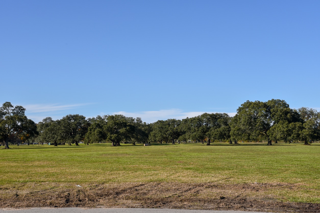 New Orleans City Park with sprawling lawns and mature oak trees beneath a bright blue sky