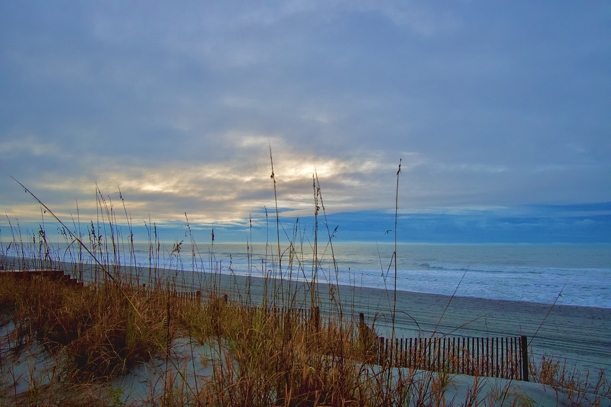 Beautiful morning on the shore of Myrtle Beach, South Carolina, with tall beach grasses and a fence