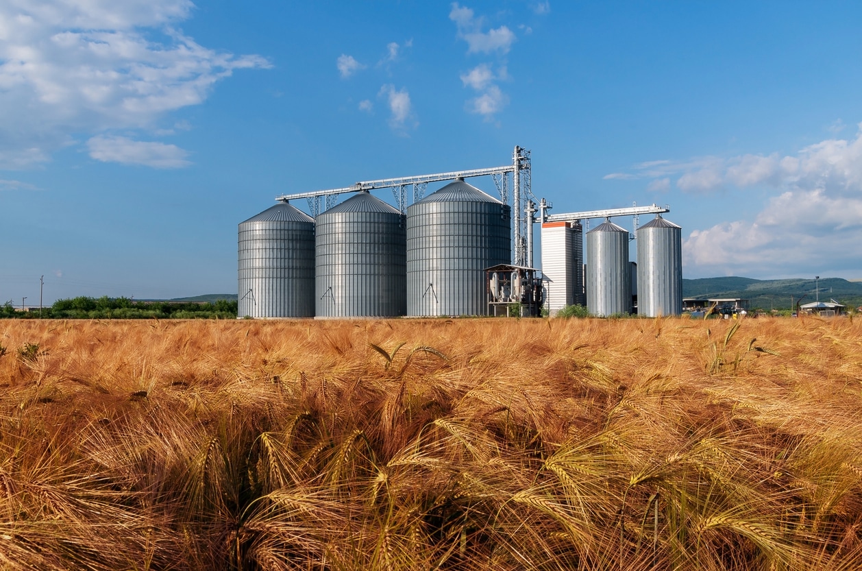 A row of five silver grain silos stands in a golden wheat field under a clear blue Oklahoma sky