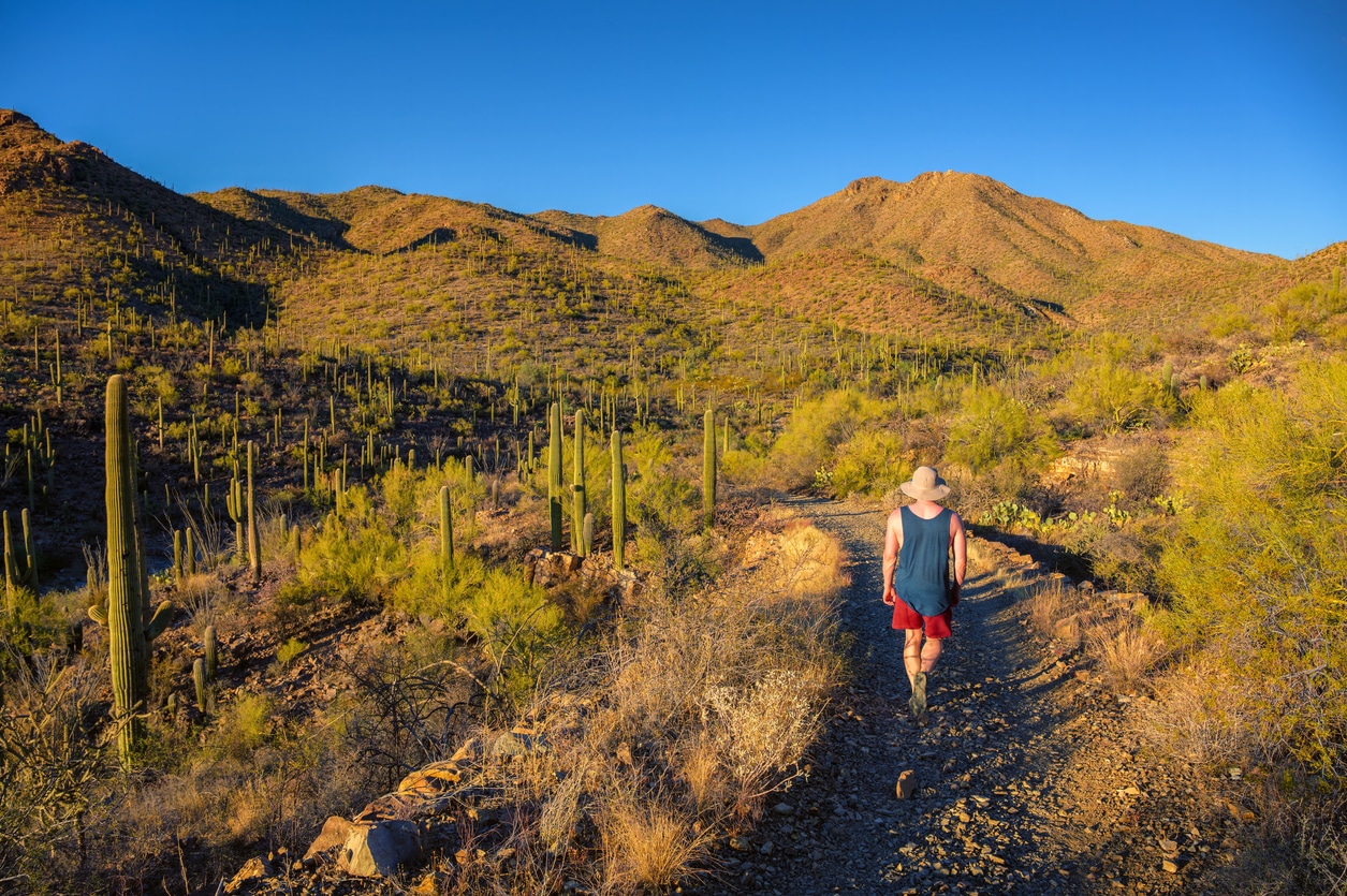 A hiker walks along King Canyon Trail in Saguaro National Park, an attraction for those moving to Tucson