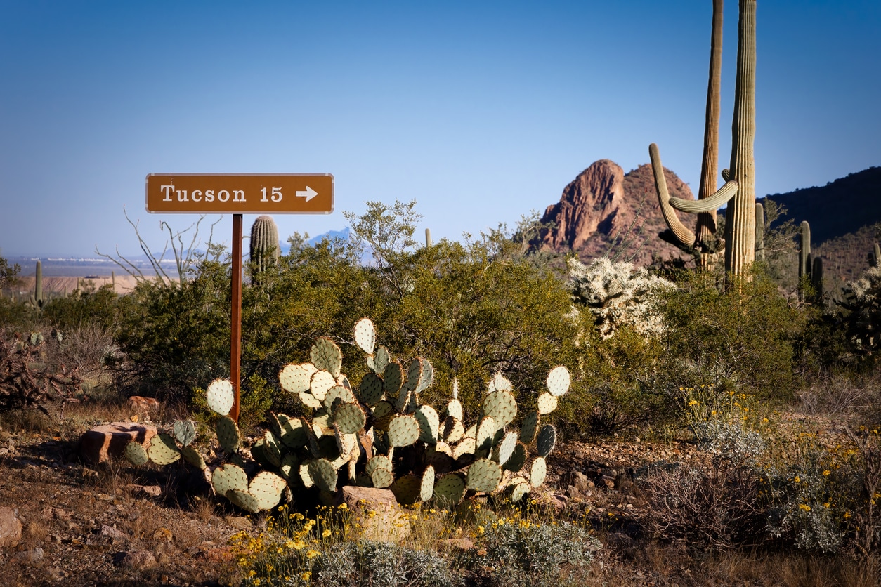 "Tucson 15" sign in a desert landscape with saguaro and prickly pear cacti under a clear blue sky
