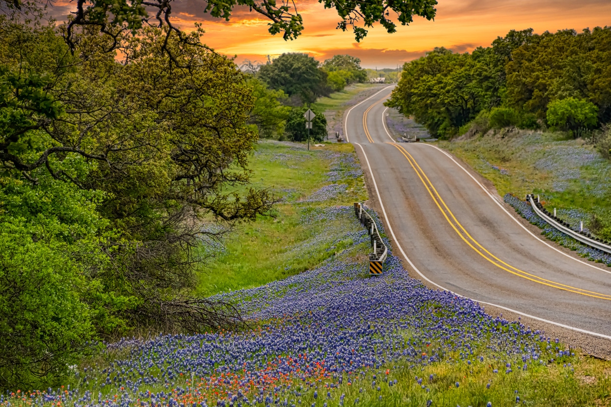 A winding Austin, TX road through rolling hills shows the beauty awaiting those moving from NYC to Austin