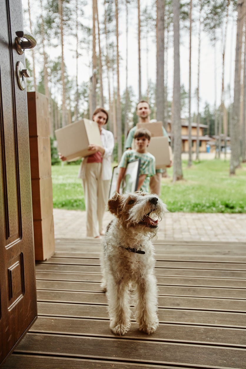 A happy dog stands on a porch as its family moves boxes into their new home