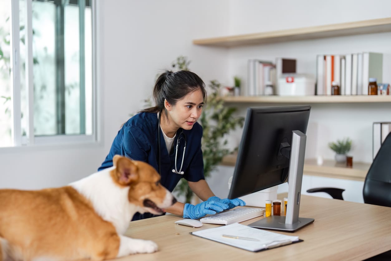 A woman veterinarian works on a desktop computer next to a dog, as part of an example for someone moving with pets