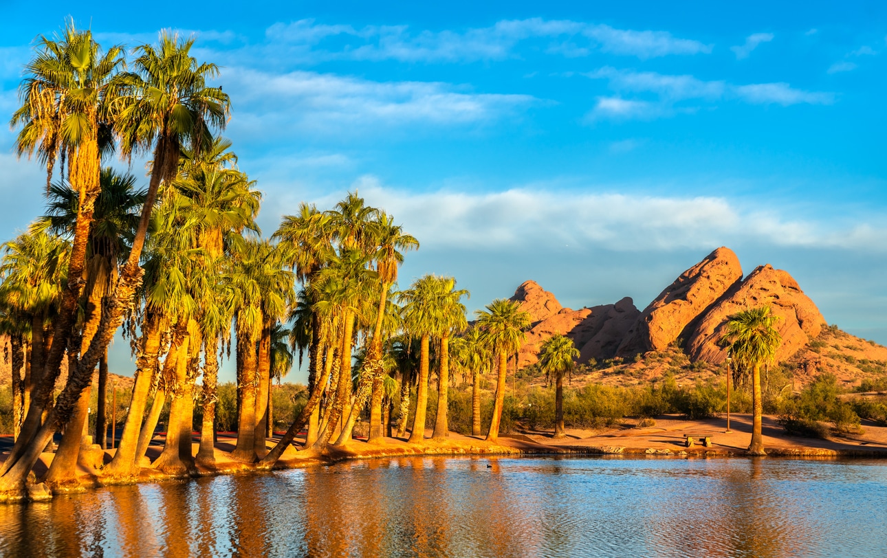 Sunlit palm trees reflected in a lagoon with red rock formations and blue sky in Phoenix, Arizona
