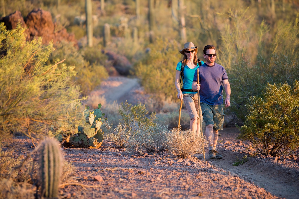 A man and woman with sunglasses and walking sticks hike a desert trail past cacti after moving from San Diego to Phoenix