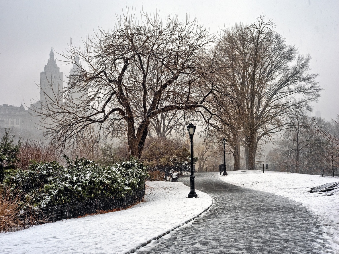 A snow-covered winding path in Central Park, a scene that might be a shock to those moving from Las Vegas to NYC