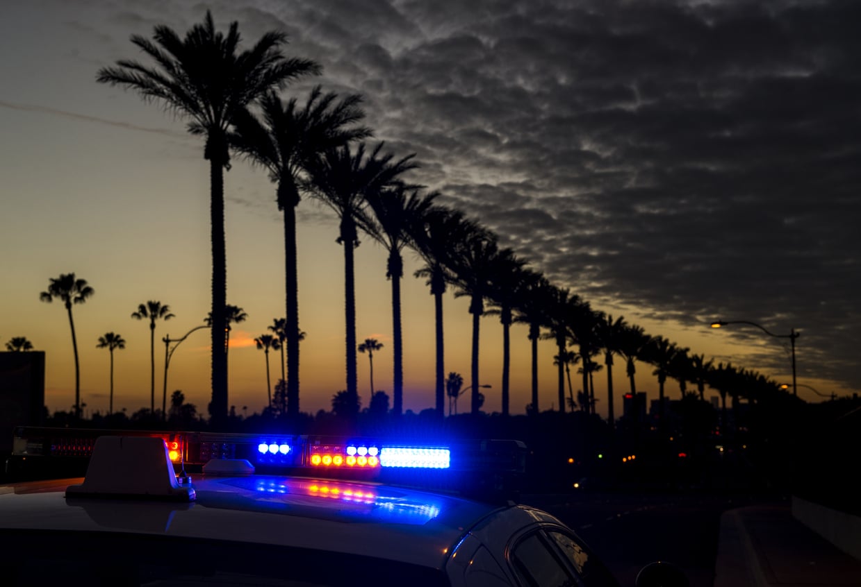  A police car with flashing lights drives down an Orange County street lined with tall palm trees at sunset