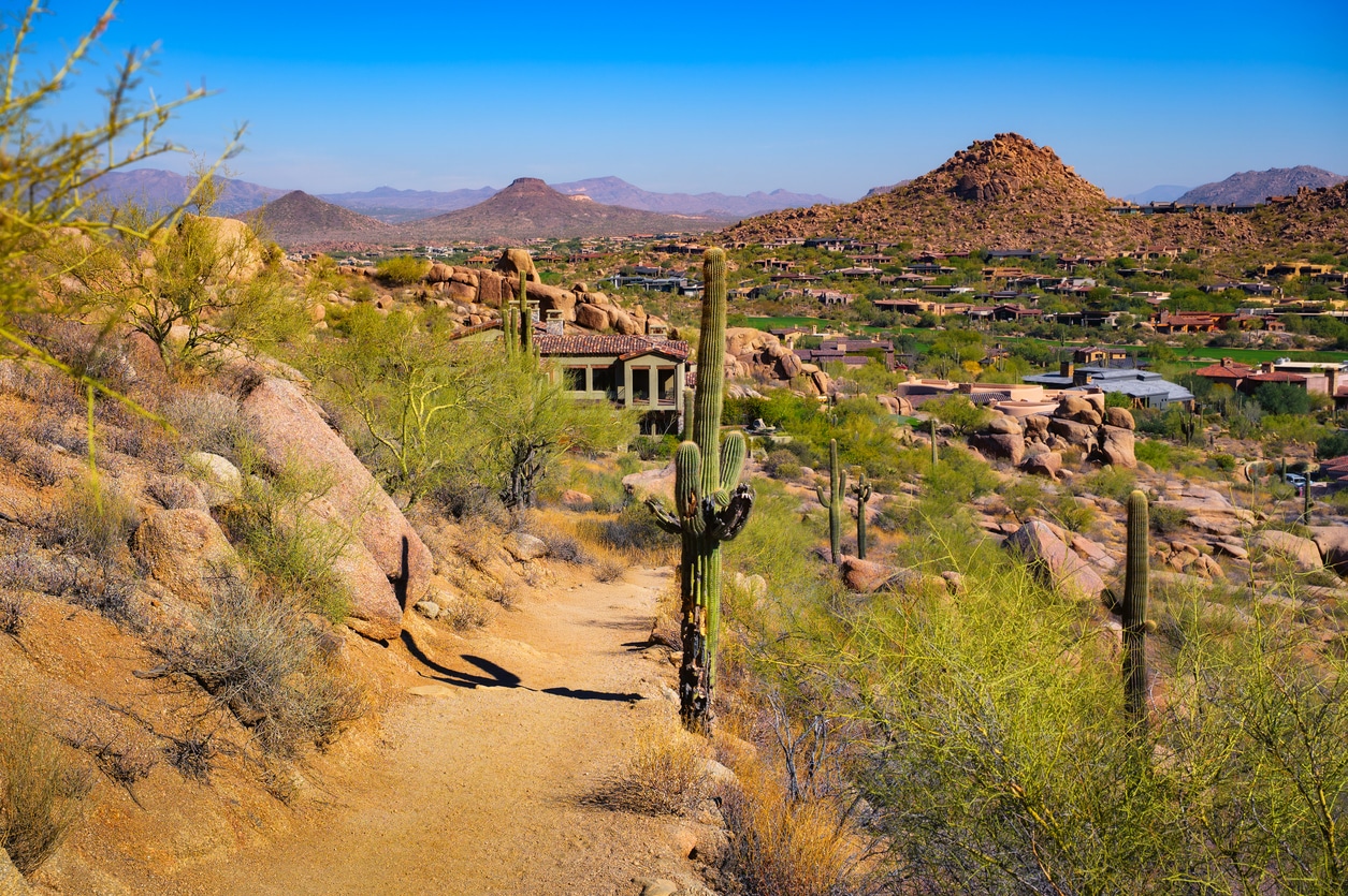 A desert hiking trail with tall saguaro cacti leads toward a Scottsdale, Arizona neighborhood