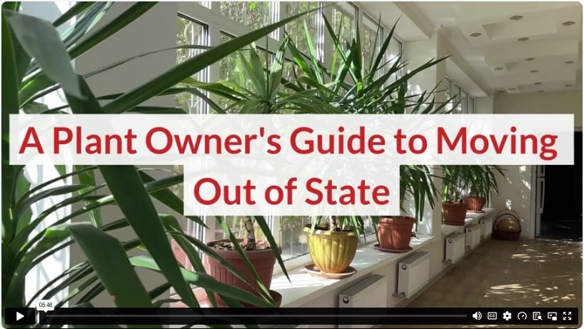 A Plant Owner's Guide to Moving Out of State